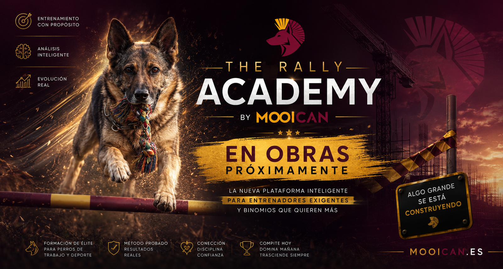 The Rally Academy by MooiCan